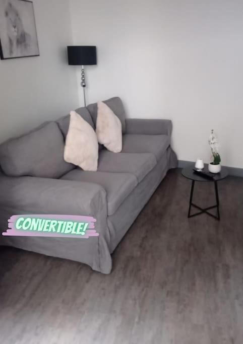 Appartement Coeur De Ville! Foix Zewnętrze zdjęcie